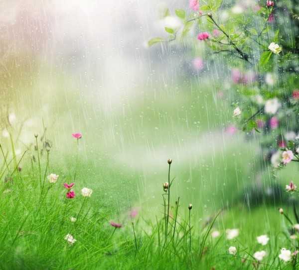 春雨润无声，春意盎然颂歌